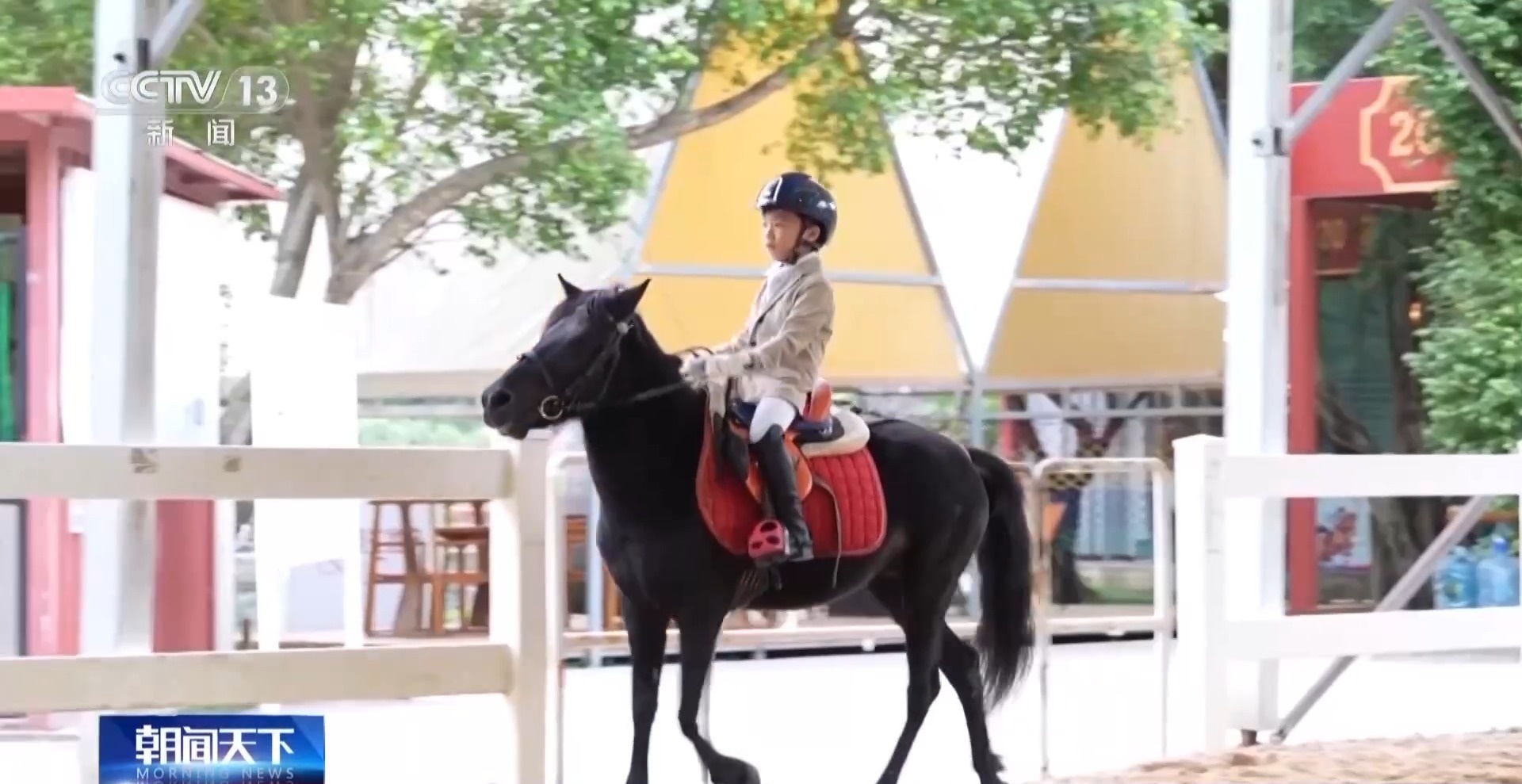 行走粤港澳湾区看全运：珠海以体育推动跨城融